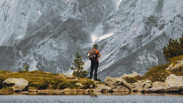 Patagonia: A Stellar Brand Through the Lens of Brand Constellations