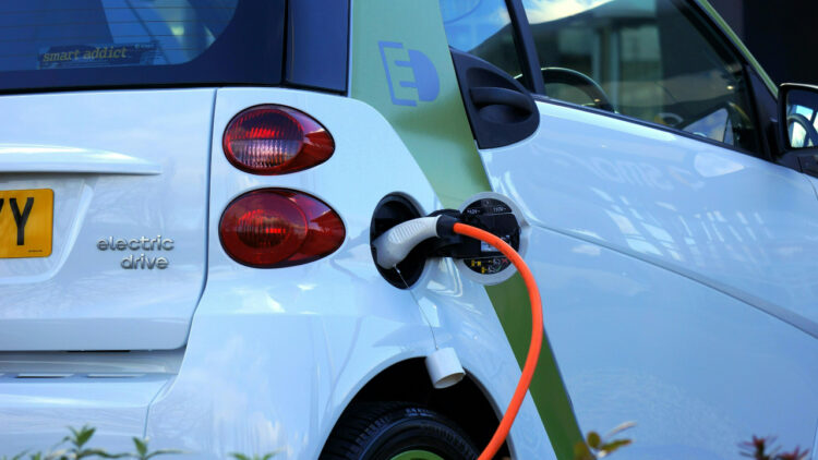 The Rise of the Eco-Conscious Consumer: Navigating Sustainability with Brand Constellations