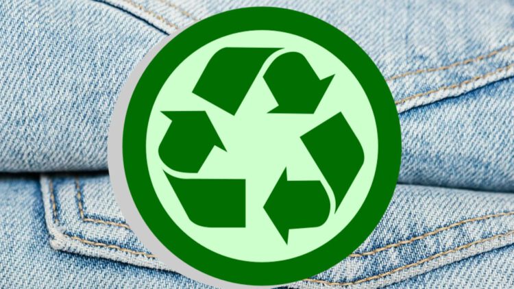 Embracing the Circular Economy: Brands Pioneering Waste Reduction