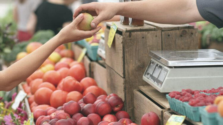 Expanding Horizons: Growing Your Customer Base with Brand Constellations